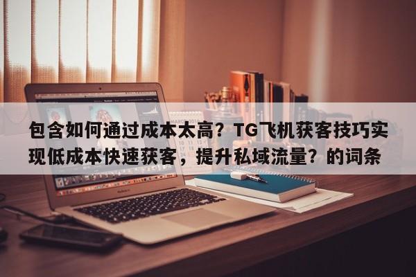 包含如何通过成本太高？TG飞机获客技巧实现低成本快速获客，提升私域流量？的词条