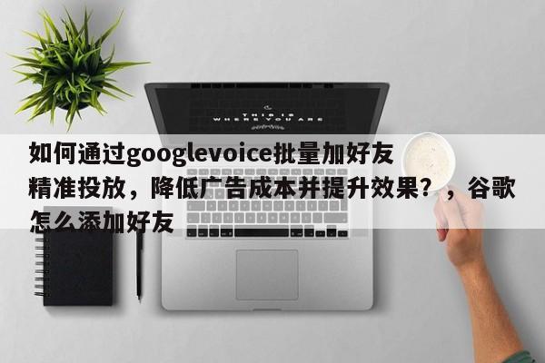 如何通过googlevoice批量加好友精准投放，降低广告成本并提升效果？，谷歌怎么添加好友