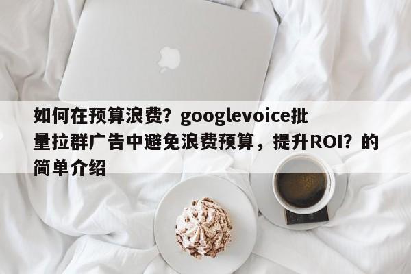 如何在预算浪费？googlevoice批量拉群广告中避免浪费预算，提升ROI？的简单介绍