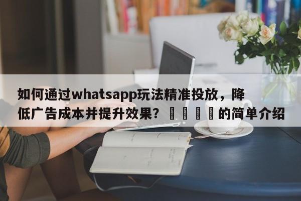 如何通过whatsapp玩法精准投放，降低广告成本并提升效果？🎯的简单介绍
