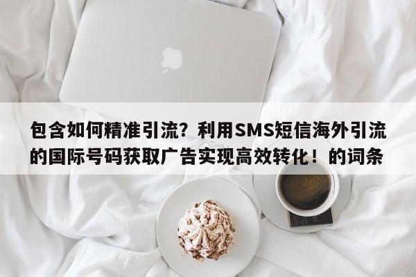 包含如何精准引流？利用SMS短信海外引流的国际号码获取广告实现高效转化！的词条