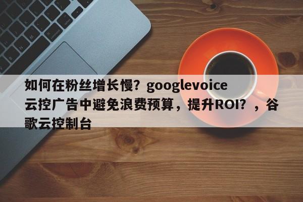 如何在粉丝增长慢？googlevoice云控广告中避免浪费预算，提升ROI？，谷歌云控制台