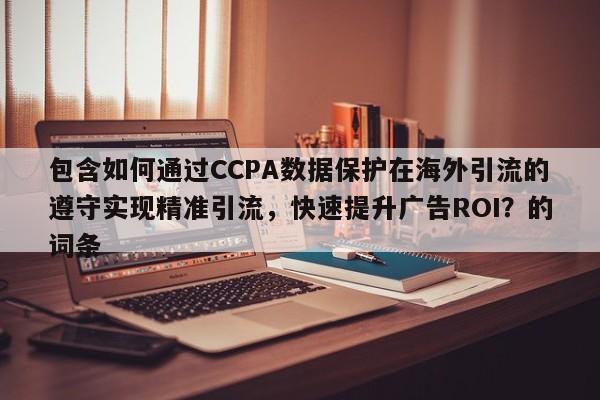 包含如何通过CCPA数据保护在海外引流的遵守实现精准引流，快速提升广告ROI？的词条