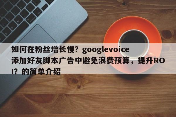 如何在粉丝增长慢？googlevoice添加好友脚本广告中避免浪费预算，提升ROI？的简单介绍