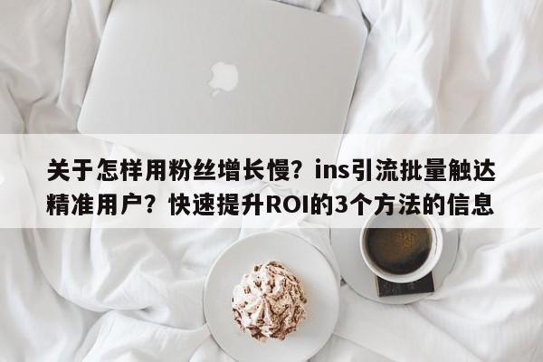 关于怎样用粉丝增长慢？ins引流批量触达精准用户？快速提升ROI的3个方法的信息
