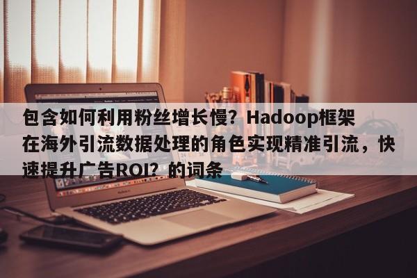 包含如何利用粉丝增长慢？Hadoop框架在海外引流数据处理的角色实现精准引流，快速提升广告ROI？的词条
