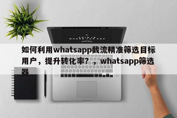 如何利用whatsapp截流精准筛选目标用户，提升转化率？，whatsapp筛选器