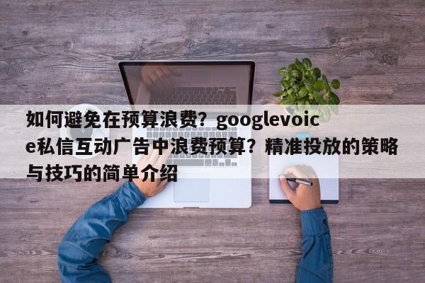 如何避免在预算浪费?googlevoice私信互动广告中浪费预算?精准投放的策略与技巧的简单介绍