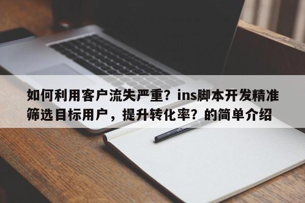 如何利用客户流失严重？ins脚本开发精准筛选目标用户，提升转化率？的简单介绍