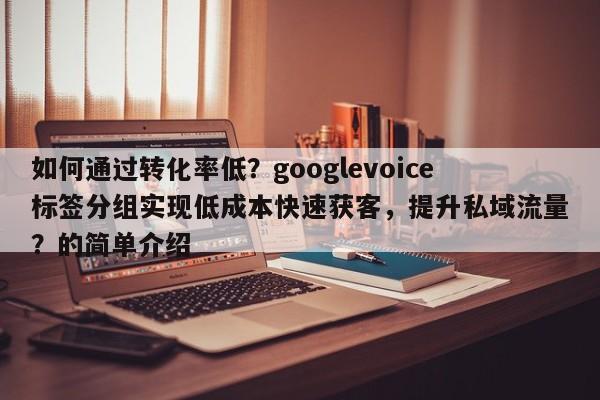 如何通过转化率低？googlevoice标签分组实现低成本快速获客，提升私域流量？的简单介绍