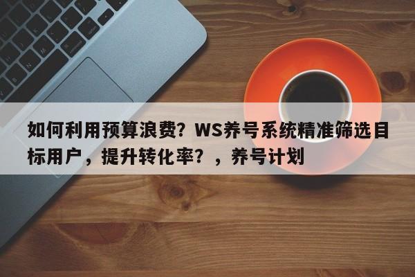如何利用预算浪费？WS养号系统精准筛选目标用户，提升转化率？，养号计划