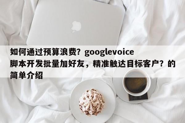 如何通过预算浪费？googlevoice脚本开发批量加好友，精准触达目标客户？的简单介绍