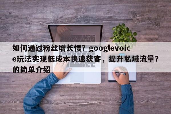 如何通过粉丝增长慢？googlevoice玩法实现低成本快速获客，提升私域流量？的简单介绍