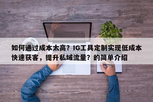 如何通过成本太高？IG工具定制实现低成本快速获客，提升私域流量？的简单介绍