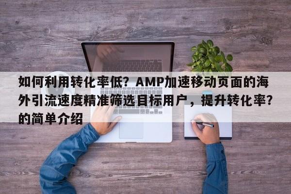 如何利用转化率低？AMP加速移动页面的海外引流速度精准筛选目标用户，提升转化率？的简单介绍