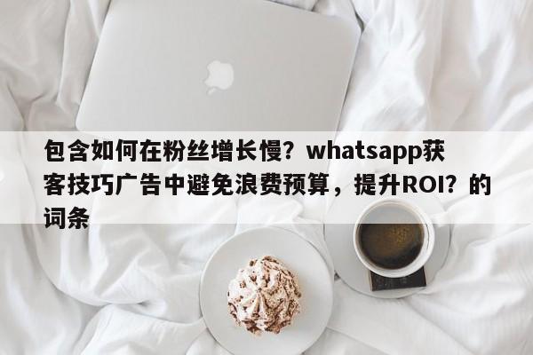 包含如何在粉丝增长慢？whatsapp获客技巧广告中避免浪费预算，提升ROI？的词条