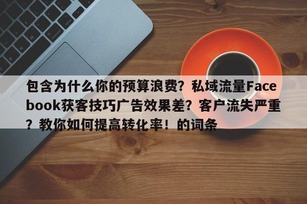 包含为什么你的预算浪费?私域流量Facebook获客技巧广告效果差?客户流失严重?教你如何提高转化率!的词条