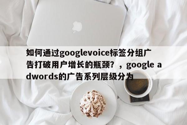 如何通过googlevoice标签分组广告打破用户增长的瓶颈?,google adwords的广告系列层级分为