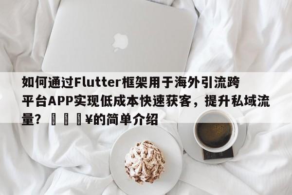 如何通过Flutter框架用于海外引流跨平台APP实现低成本快速获客，提升私域流量？🔥的简单介绍