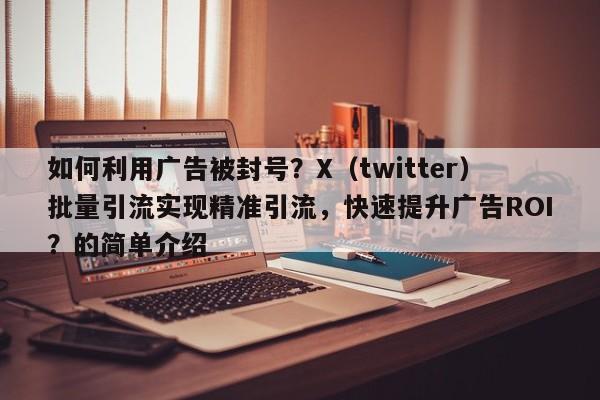 如何利用广告被封号？X（twitter）批量引流实现精准引流，快速提升广告ROI？的简单介绍