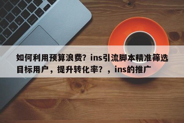 如何利用预算浪费？ins引流脚本精准筛选目标用户，提升转化率？，ins的推广