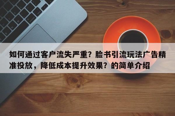 如何通过客户流失严重？脸书引流玩法广告精准投放，降低成本提升效果？的简单介绍