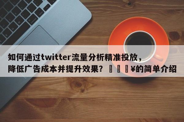 如何通过twitter流量分析精准投放，降低广告成本并提升效果？🔥的简单介绍