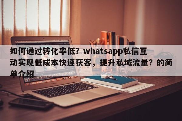 如何通过转化率低？whatsapp私信互动实现低成本快速获客，提升私域流量？的简单介绍