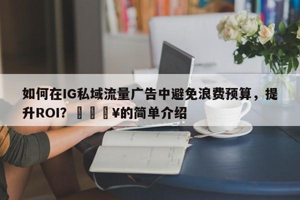 如何在IG私域流量广告中避免浪费预算，提升ROI？💥的简单介绍