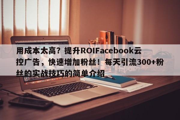 用成本太高？提升ROIFacebook云控广告，快速增加粉丝！每天引流300+粉丝的实战技巧的简单介绍
