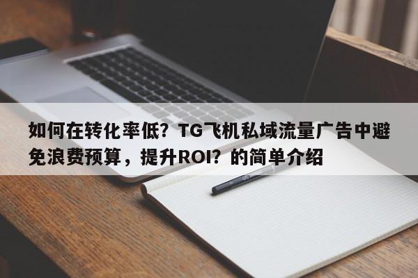 如何在转化率低？TG飞机私域流量广告中避免浪费预算，提升ROI？的简单介绍