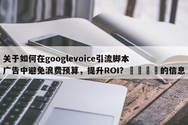 关于如何在googlevoice引流脚本广告中避免浪费预算，提升ROI？📈的信息