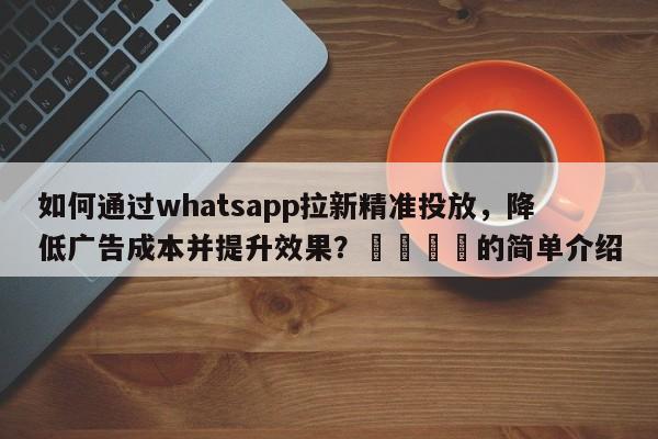 如何通过whatsapp拉新精准投放，降低广告成本并提升效果？🎯的简单介绍