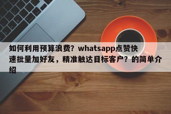如何利用预算浪费？whatsapp点赞快速批量加好友，精准触达目标客户？的简单介绍