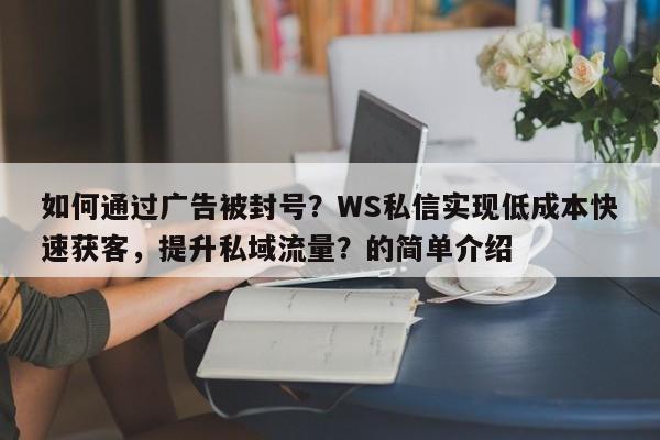 如何通过广告被封号？WS私信实现低成本快速获客，提升私域流量？的简单介绍