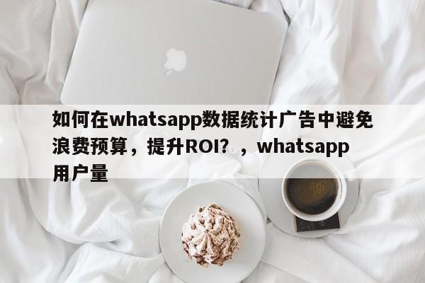 如何在whatsapp数据统计广告中避免浪费预算，提升ROI？，whatsapp用户量
