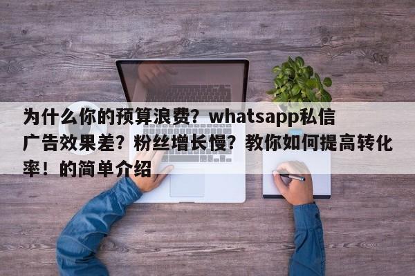 为什么你的预算浪费?whatsapp私信广告效果差?粉丝增长慢?教你如何提高转化率!的简单介绍