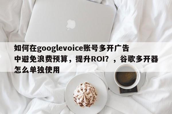 如何在googlevoice账号多开广告中避免浪费预算,提升ROI?,谷歌多开器怎么单独使用