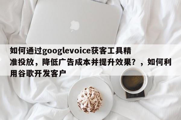 如何通过googlevoice获客工具精准投放，降低广告成本并提升效果？，如何利用谷歌开发客户