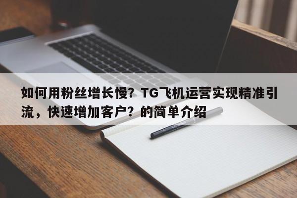 如何用粉丝增长慢?TG飞机运营实现精准引流,快速增加客户?的简单介绍