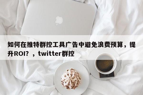 如何在推特群控工具广告中避免浪费预算，提升ROI？，twitter群控