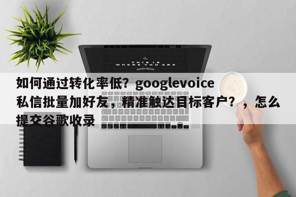如何通过转化率低？googlevoice私信批量加好友，精准触达目标客户？，怎么提交谷歌收录