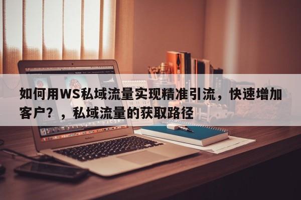 如何用WS私域流量实现精准引流，快速增加客户？，私域流量的获取路径