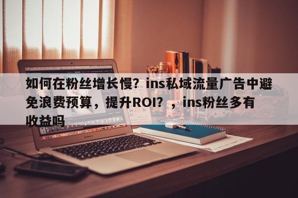 如何在粉丝增长慢？ins私域流量广告中避免浪费预算，提升ROI？，ins粉丝多有收益吗
