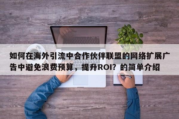 如何在海外引流中合作伙伴联盟的网络扩展广告中避免浪费预算，提升ROI？的简单介绍