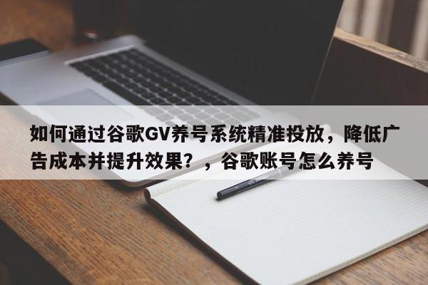 如何通过谷歌GV养号系统精准投放，降低广告成本并提升效果？，谷歌账号怎么养号