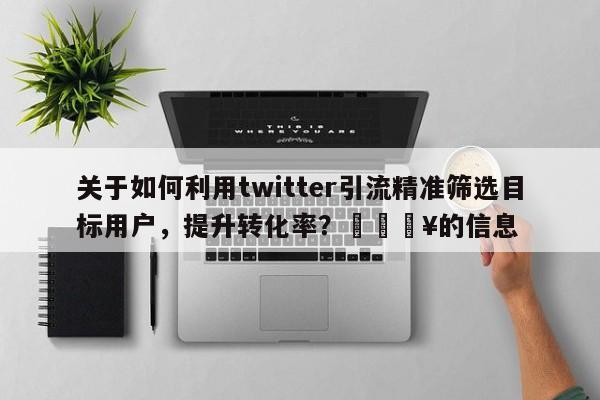 关于如何利用twitter引流精准筛选目标用户，提升转化率？💥的信息