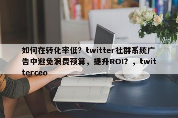 如何在转化率低？twitter社群系统广告中避免浪费预算，提升ROI？，twitterceo