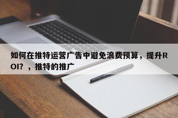如何在推特运营广告中避免浪费预算，提升ROI？，推特的推广