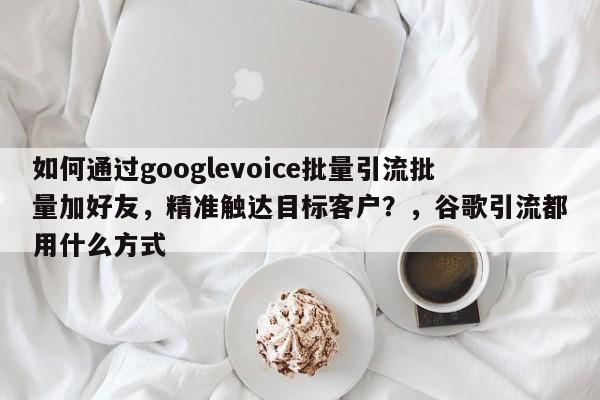 如何通过googlevoice批量引流批量加好友，精准触达目标客户？，谷歌引流都用什么方式